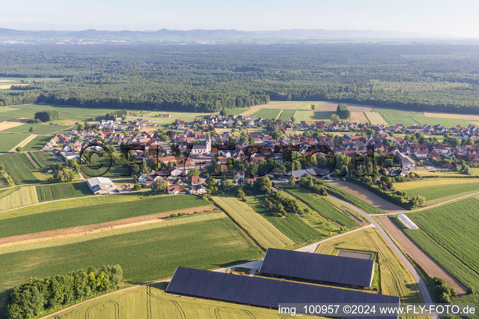 Panel rows of photovoltaic on the roofs of 2 barns in Niederlauterbach in Grand Est, France