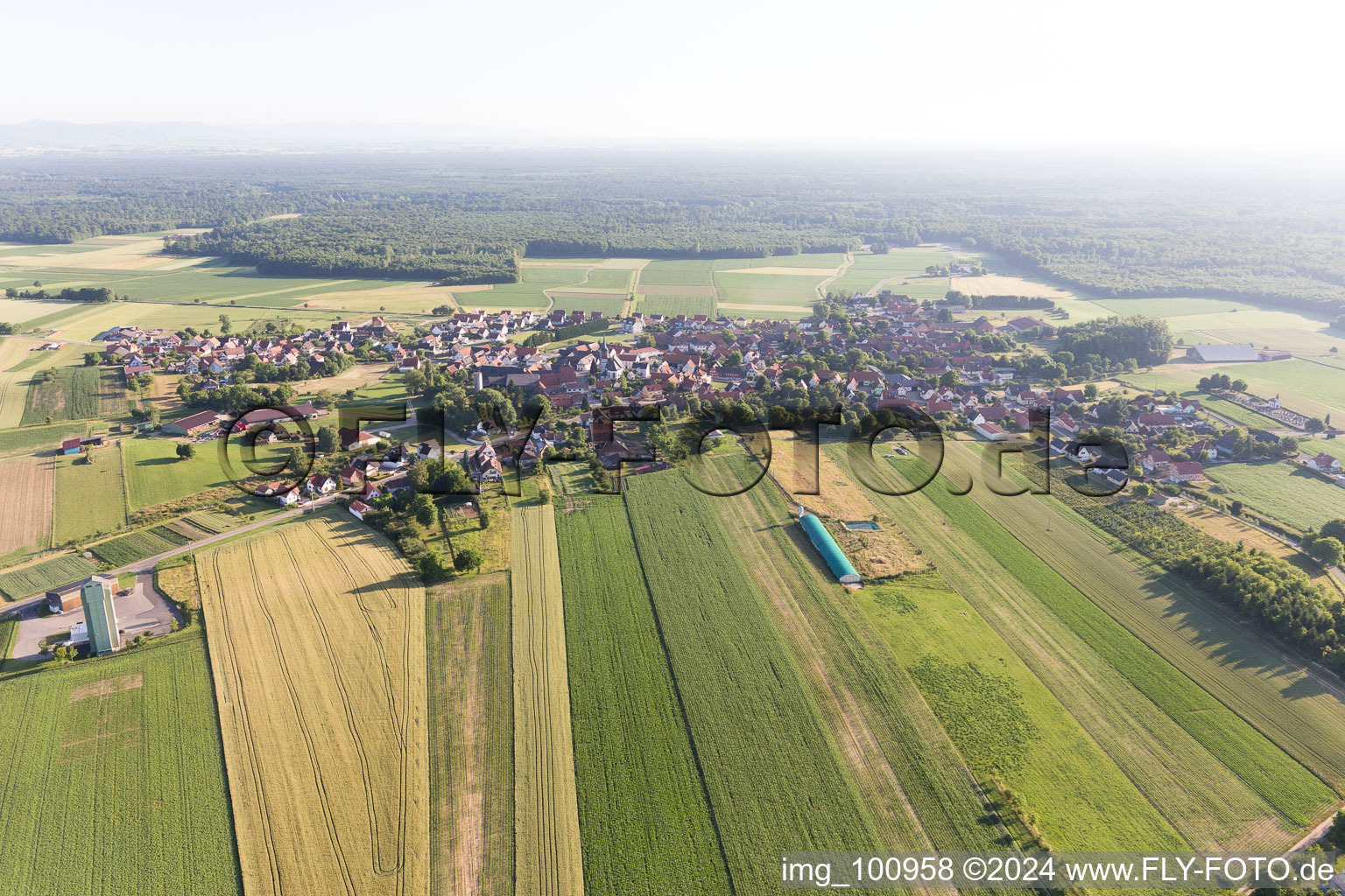 Bird's eye view of Salmbach in the state Bas-Rhin, France