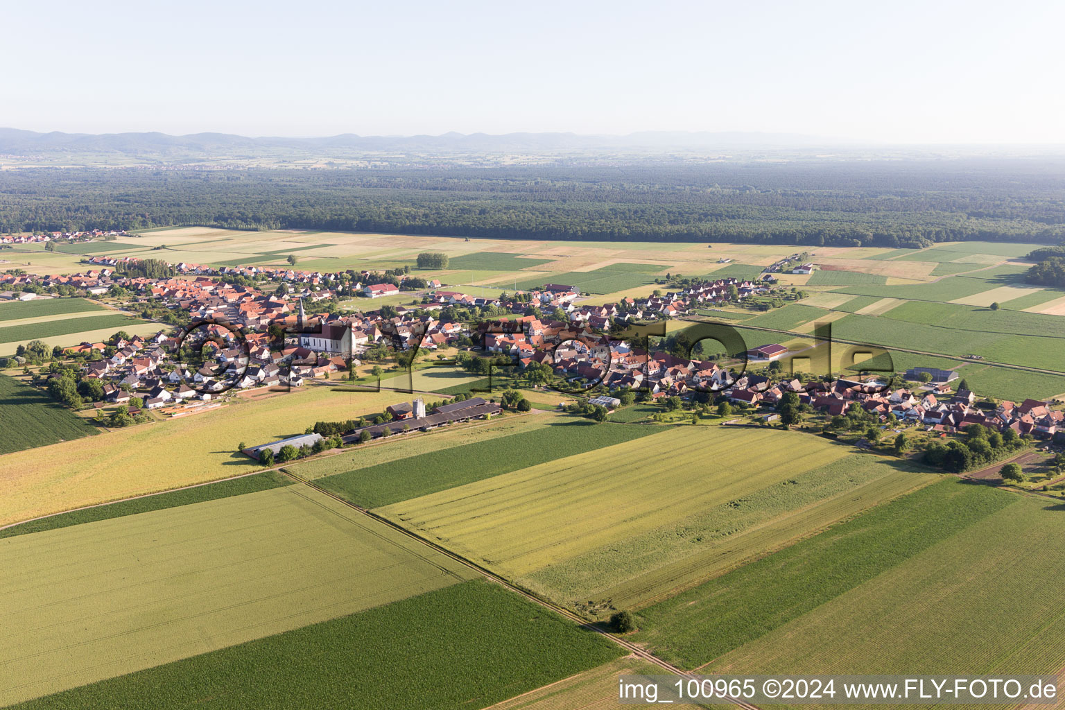 Schleithal in the state Bas-Rhin, France from a drone