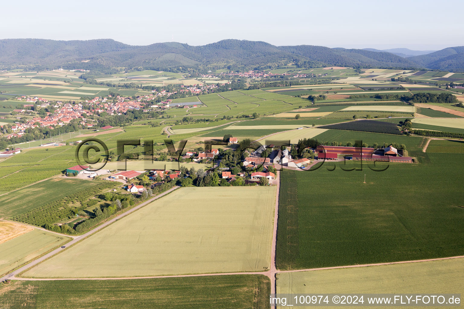 Riedseltz in the state Bas-Rhin, France seen from a drone