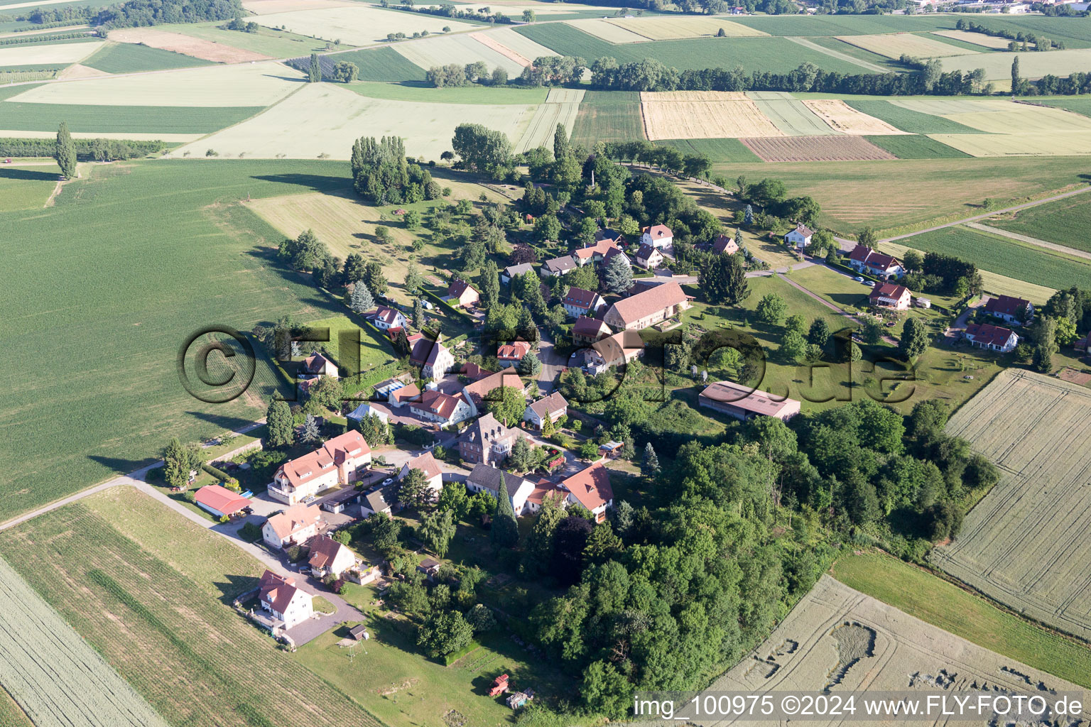 Oblique view of Steinseltz in the state Bas-Rhin, France