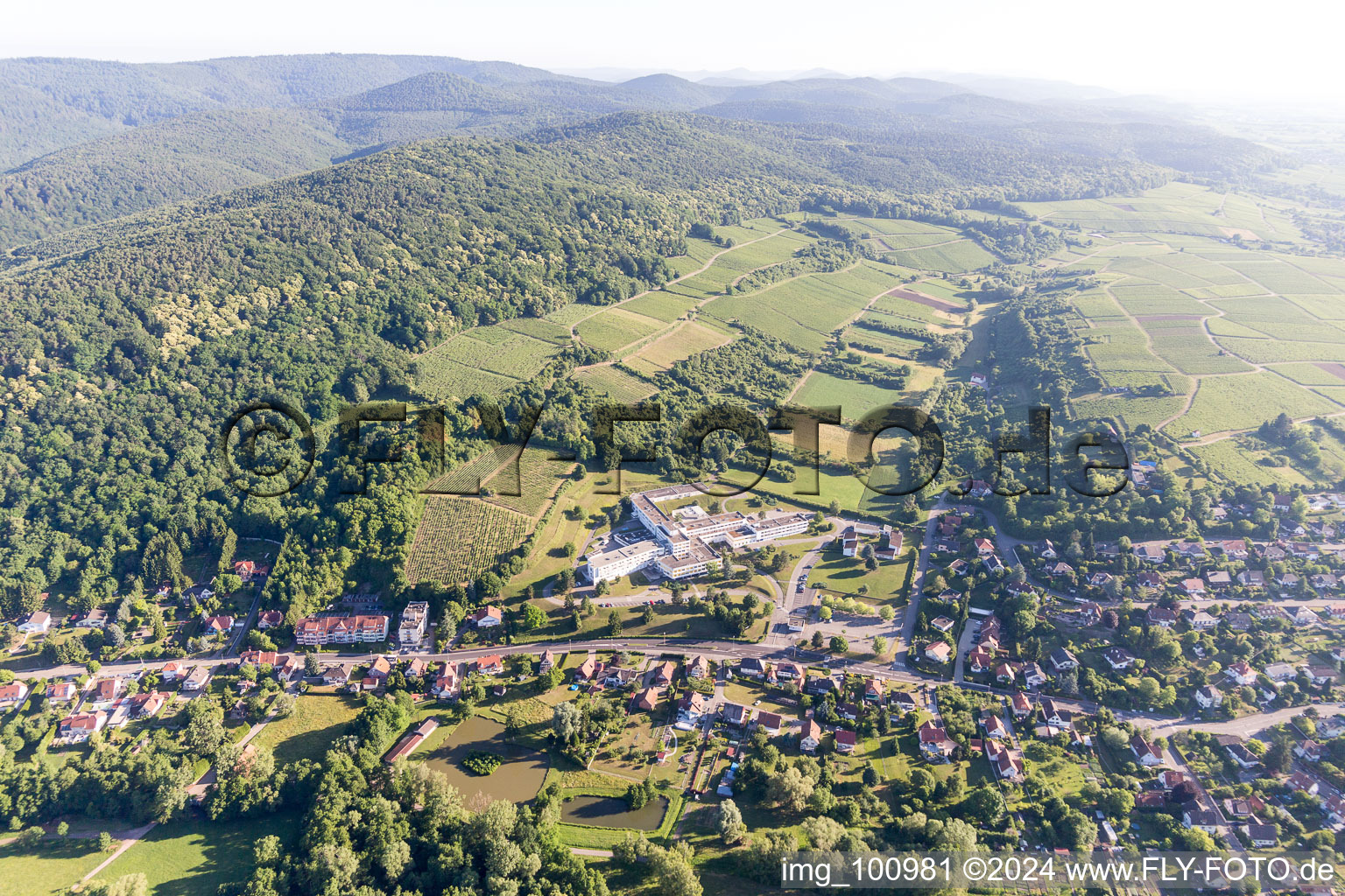 Oblique view of Wissembourg in the state Bas-Rhin, France