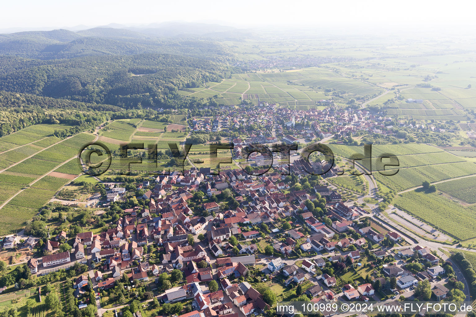 Drone image of District Schweigen in Schweigen-Rechtenbach in the state Rhineland-Palatinate, Germany