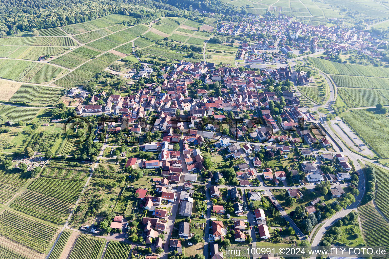 District Schweigen in Schweigen-Rechtenbach in the state Rhineland-Palatinate, Germany from a drone