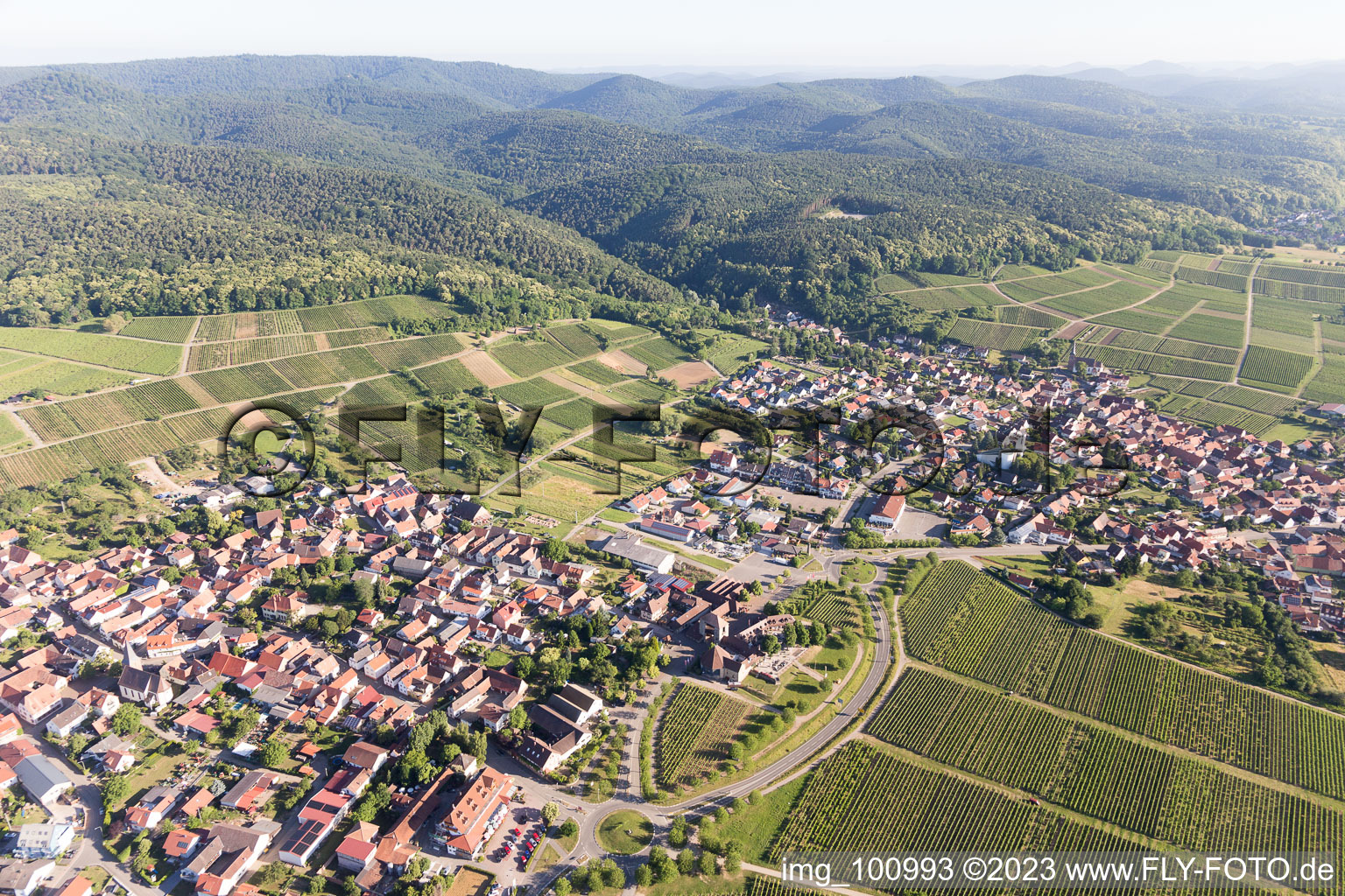 District Schweigen in Schweigen-Rechtenbach in the state Rhineland-Palatinate, Germany seen from a drone