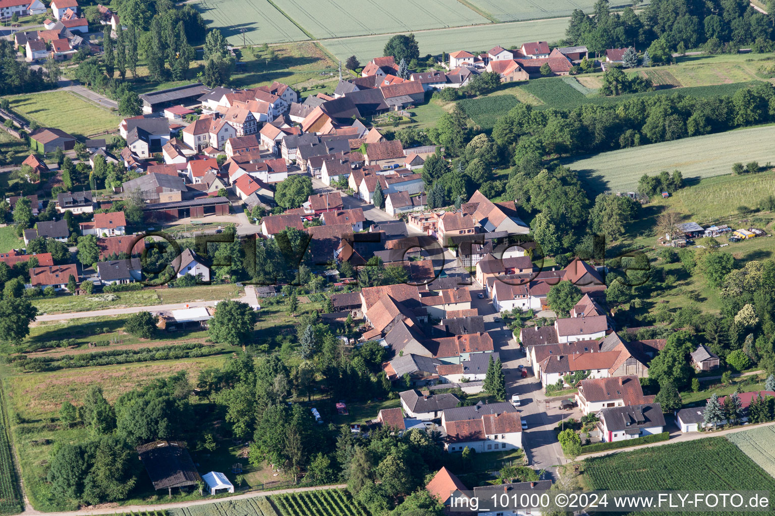 Oblique view of Niederotterbach in the state Rhineland-Palatinate, Germany