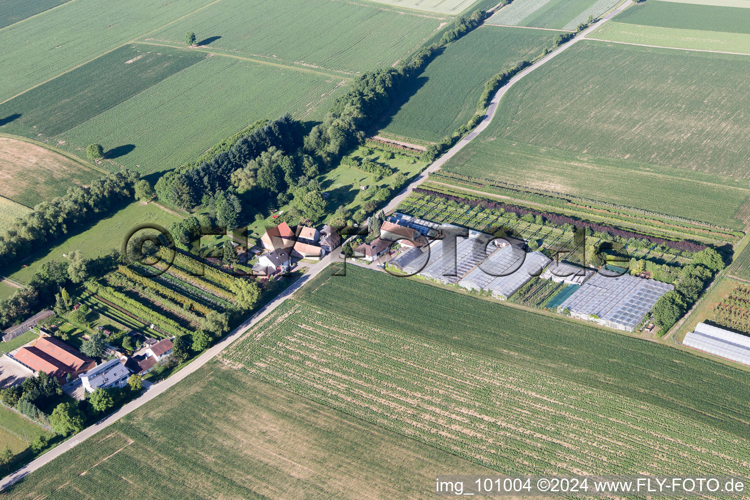 Vollmersweiler in the state Rhineland-Palatinate, Germany seen from above