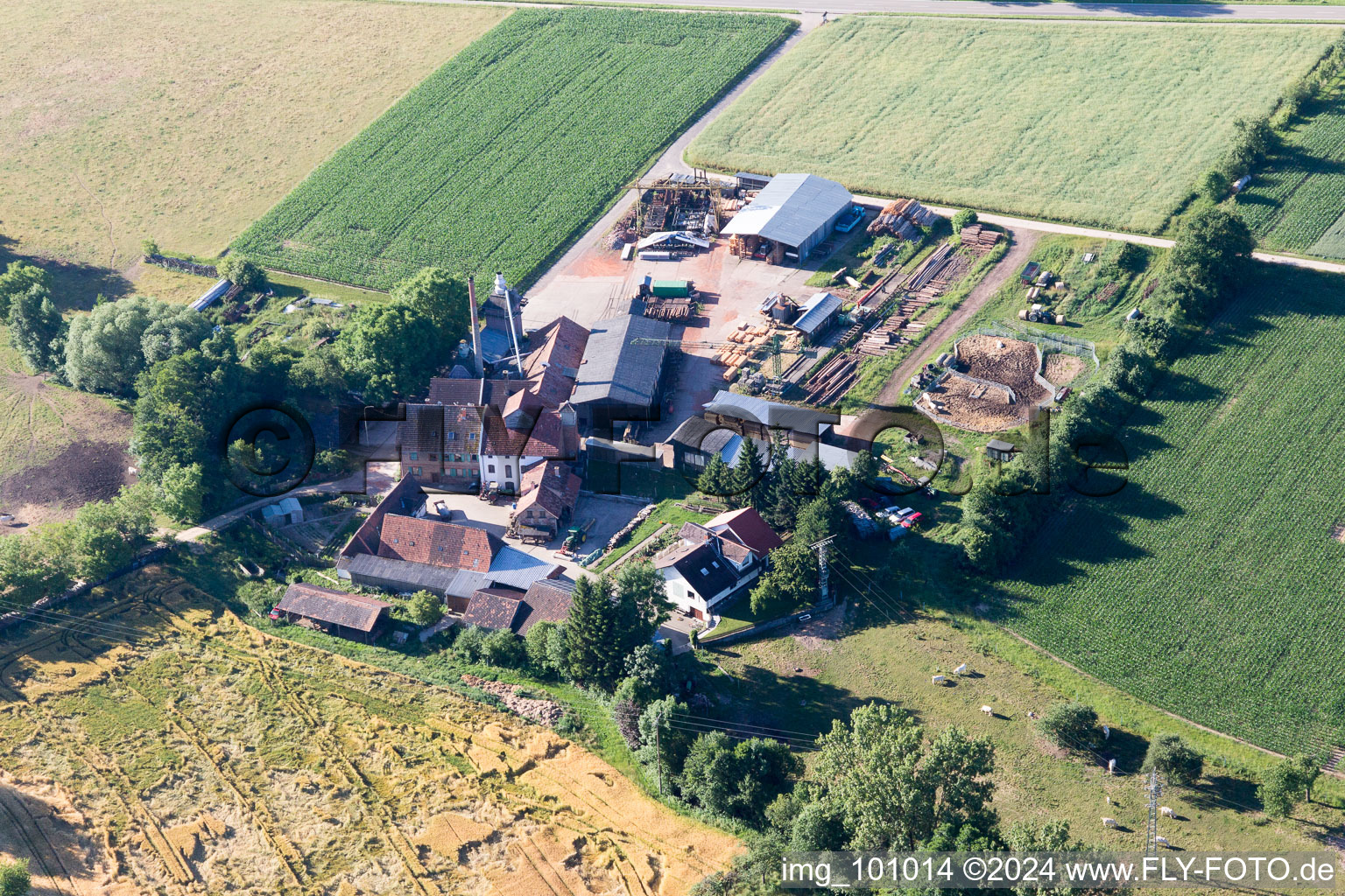 District Schaidt in Wörth am Rhein in the state Rhineland-Palatinate, Germany viewn from the air