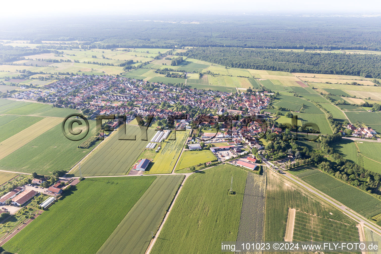 Oblique view of Minfeld in the state Rhineland-Palatinate, Germany