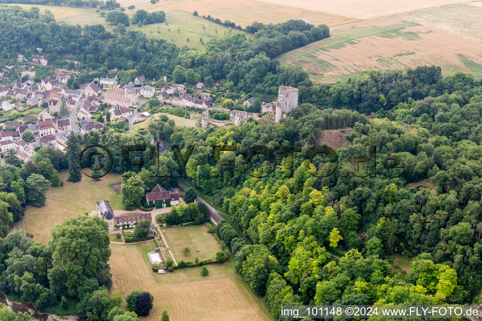 Lavardin in the state Loir et Cher, France seen from above