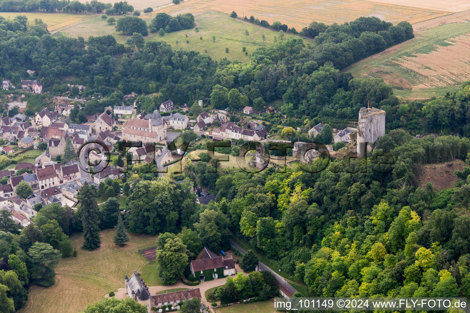 Lavardin in the state Loir et Cher, France from the plane