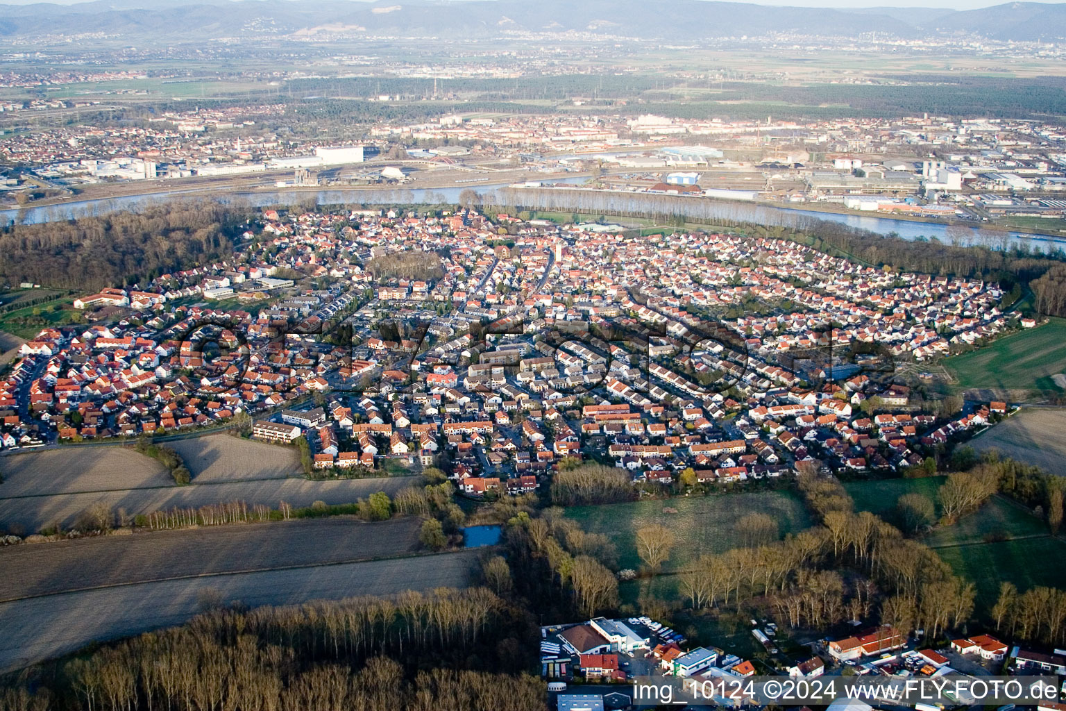 Aerial view of Town View of the streets and houses of the residential areas in Altrip in the state Rhineland-Palatinate