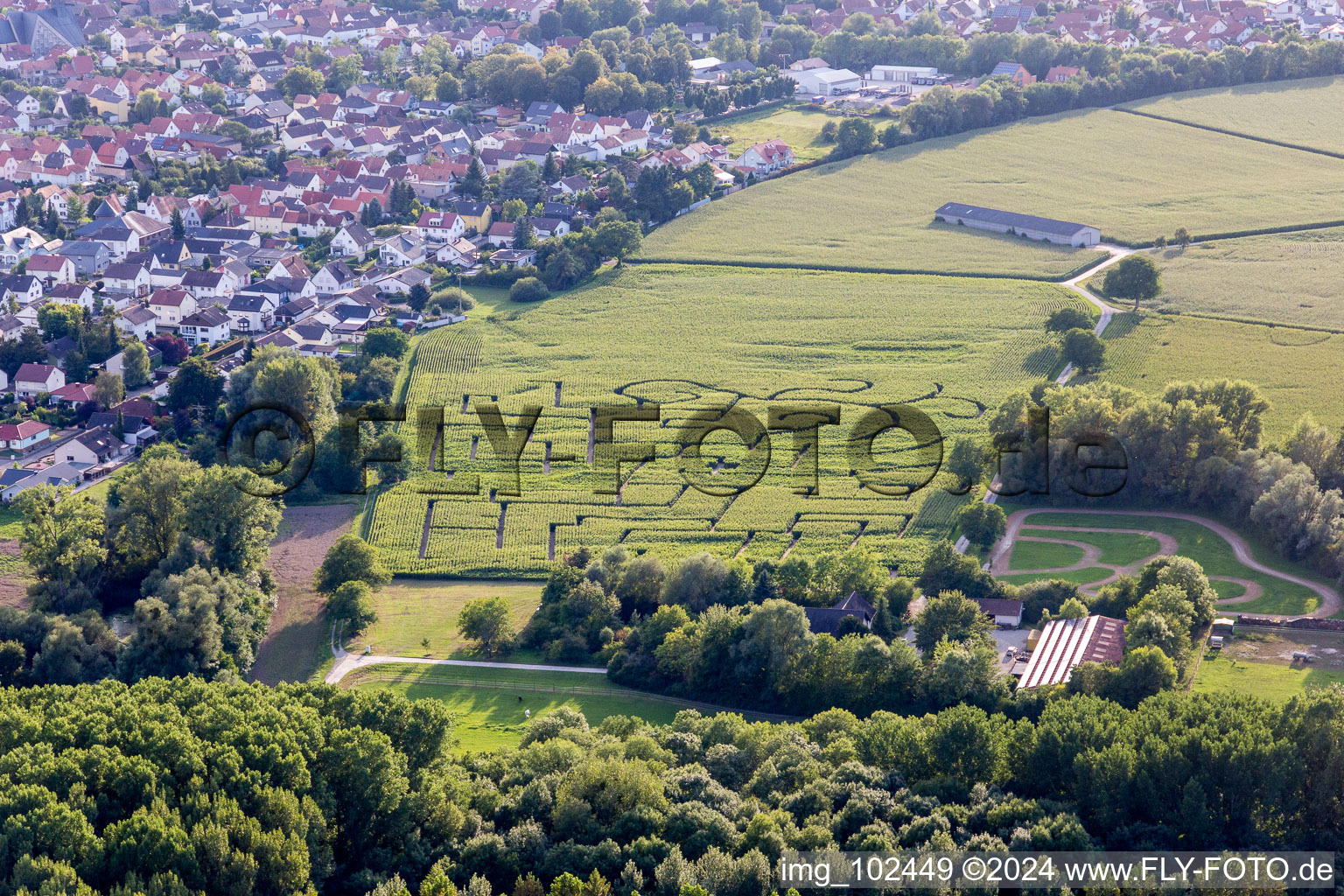 Bird's eye view of Leimersheim in the state Rhineland-Palatinate, Germany