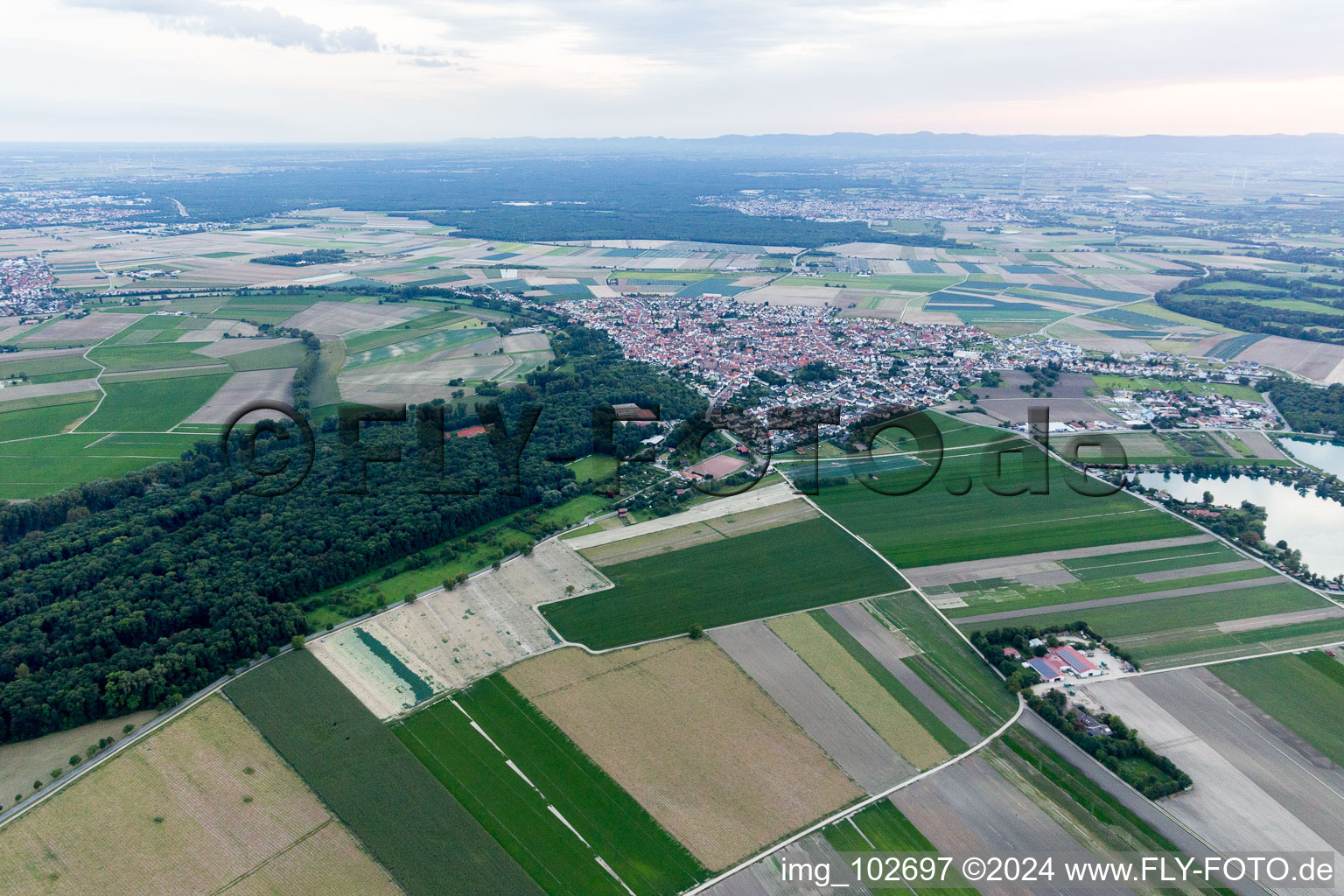 Waldsee in the state Rhineland-Palatinate, Germany from the drone perspective