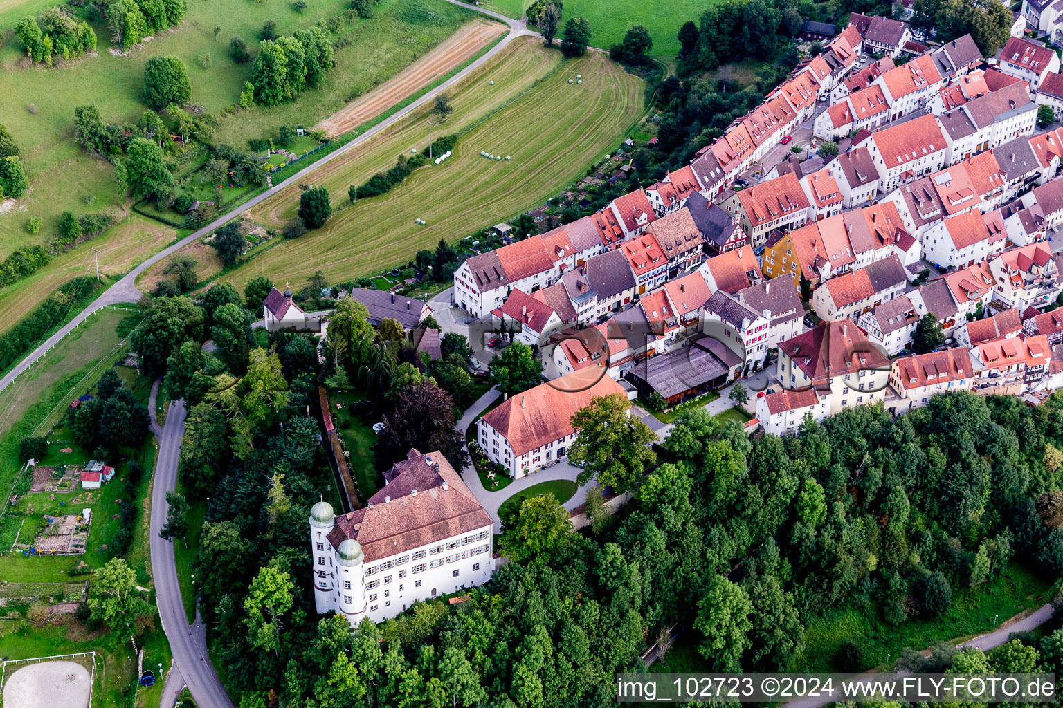 Oblique view of Palace in Muehlheim an der Donau in the state Baden-Wurttemberg, Germany