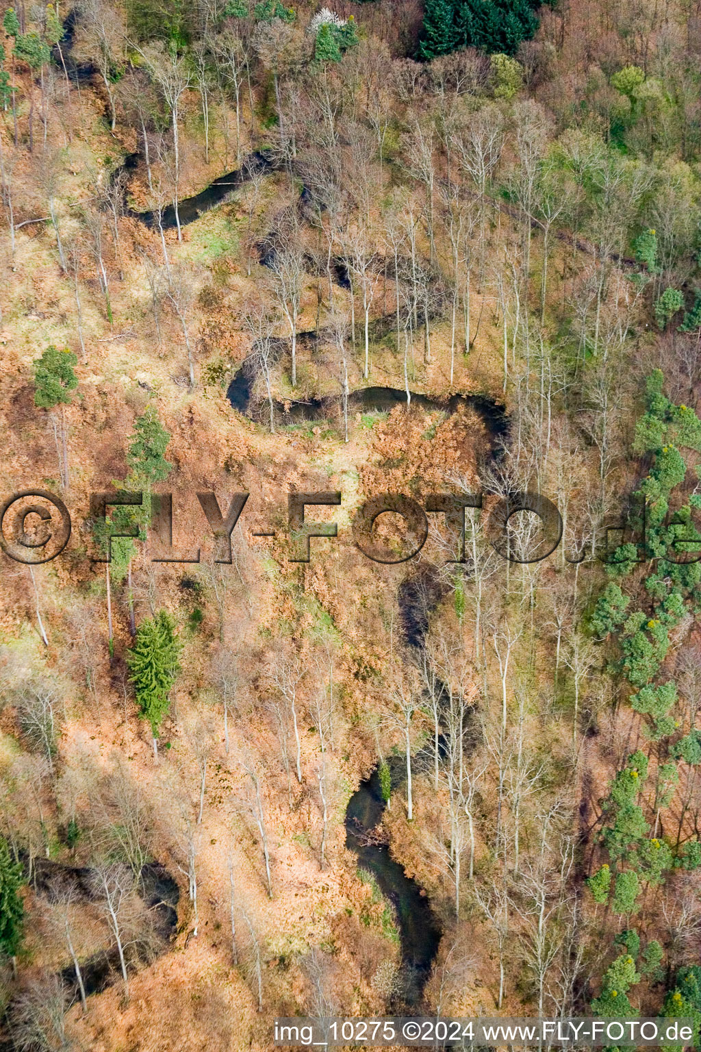 Meandering, serpentine curve of a river Otterbach in Kandel in the state Rhineland-Palatinate