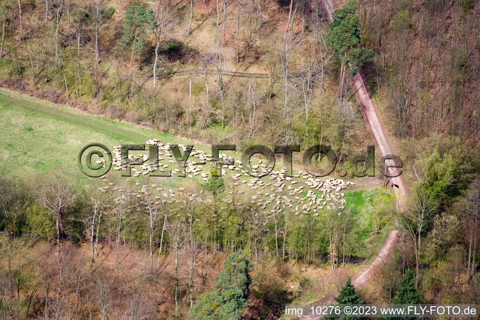 Drone image of Jockgrim in the state Rhineland-Palatinate, Germany