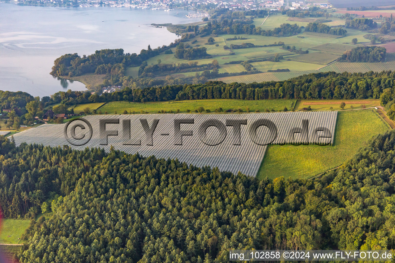 Drone image of District Ludwigshafen in Bodman-Ludwigshafen in the state Baden-Wuerttemberg, Germany