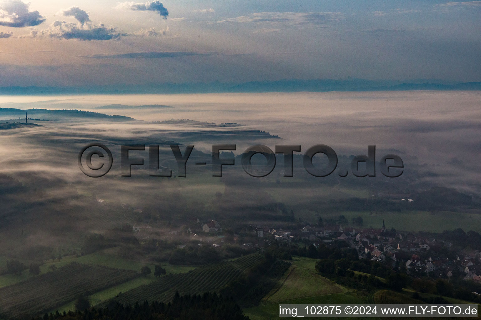 Fog over Lake Constance in the district Güttingen in Radolfzell am Bodensee in the state Baden-Wuerttemberg, Germany