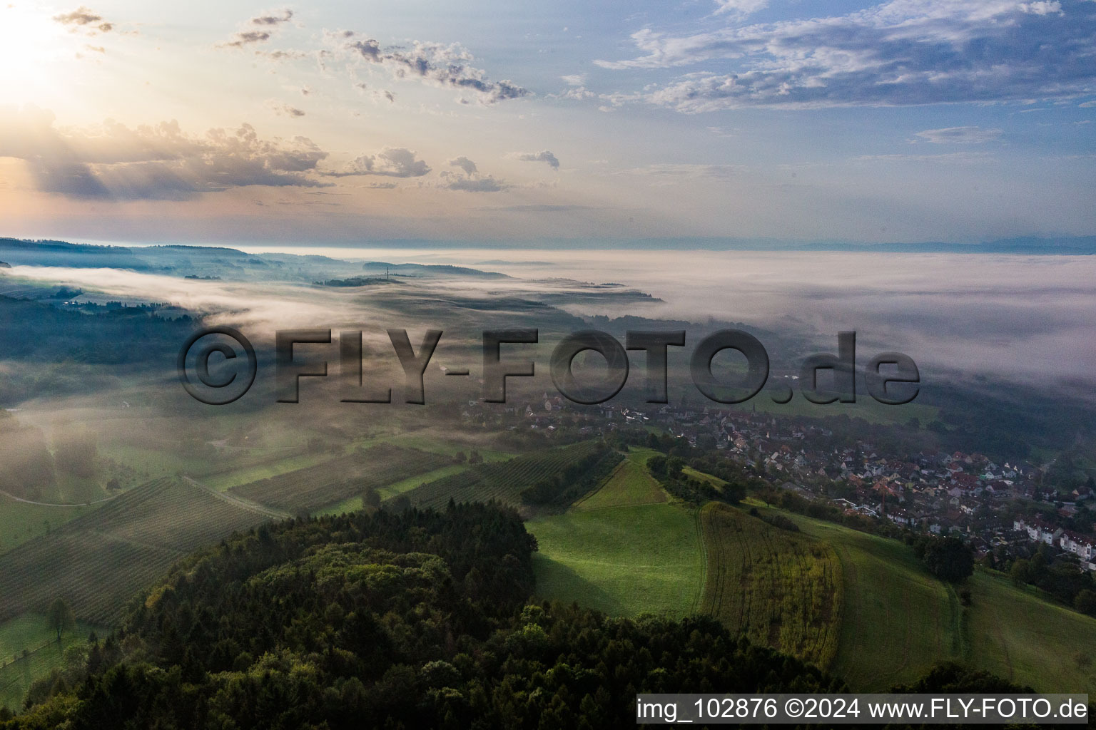 Under morning mist in the district Stahringen in Radolfzell am Bodensee in the state Baden-Wuerttemberg, Germany