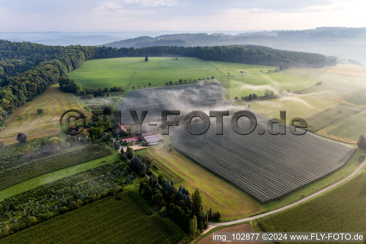 Fruit plantations under protective nets in the district Güttingen in Radolfzell am Bodensee in the state Baden-Wuerttemberg, Germany