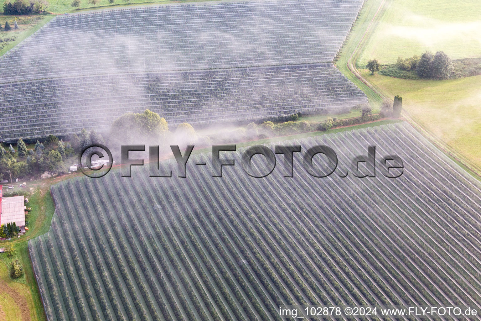 Aerial view of Fruit plantations under protective nets in the district Güttingen in Radolfzell am Bodensee in the state Baden-Wuerttemberg, Germany