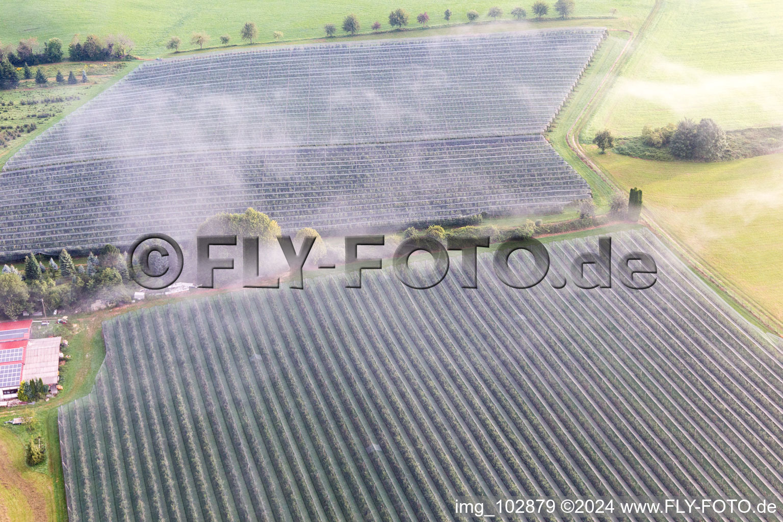 Aerial photograpy of Fruit plantations under protective nets in the district Güttingen in Radolfzell am Bodensee in the state Baden-Wuerttemberg, Germany