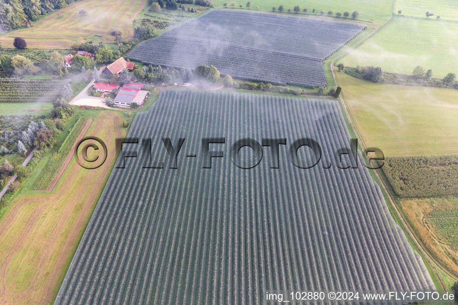 Oblique view of Fruit plantations under protective nets in the district Güttingen in Radolfzell am Bodensee in the state Baden-Wuerttemberg, Germany