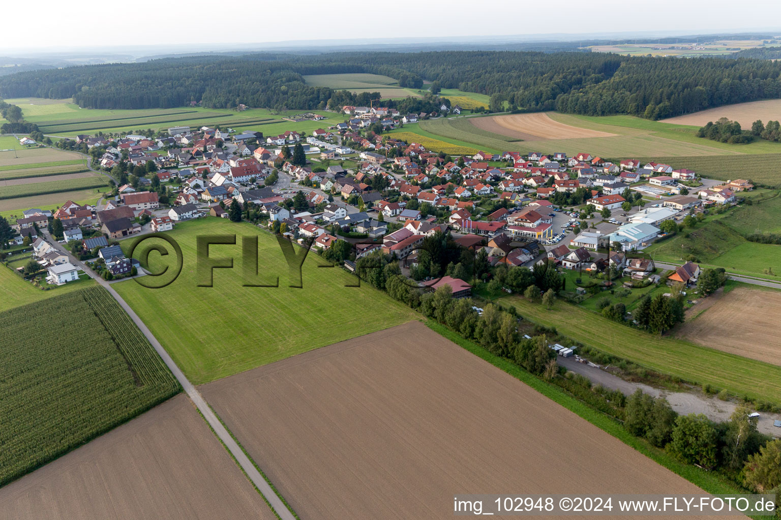 Oblique view of District Denkingen in Pfullendorf in the state Baden-Wuerttemberg, Germany