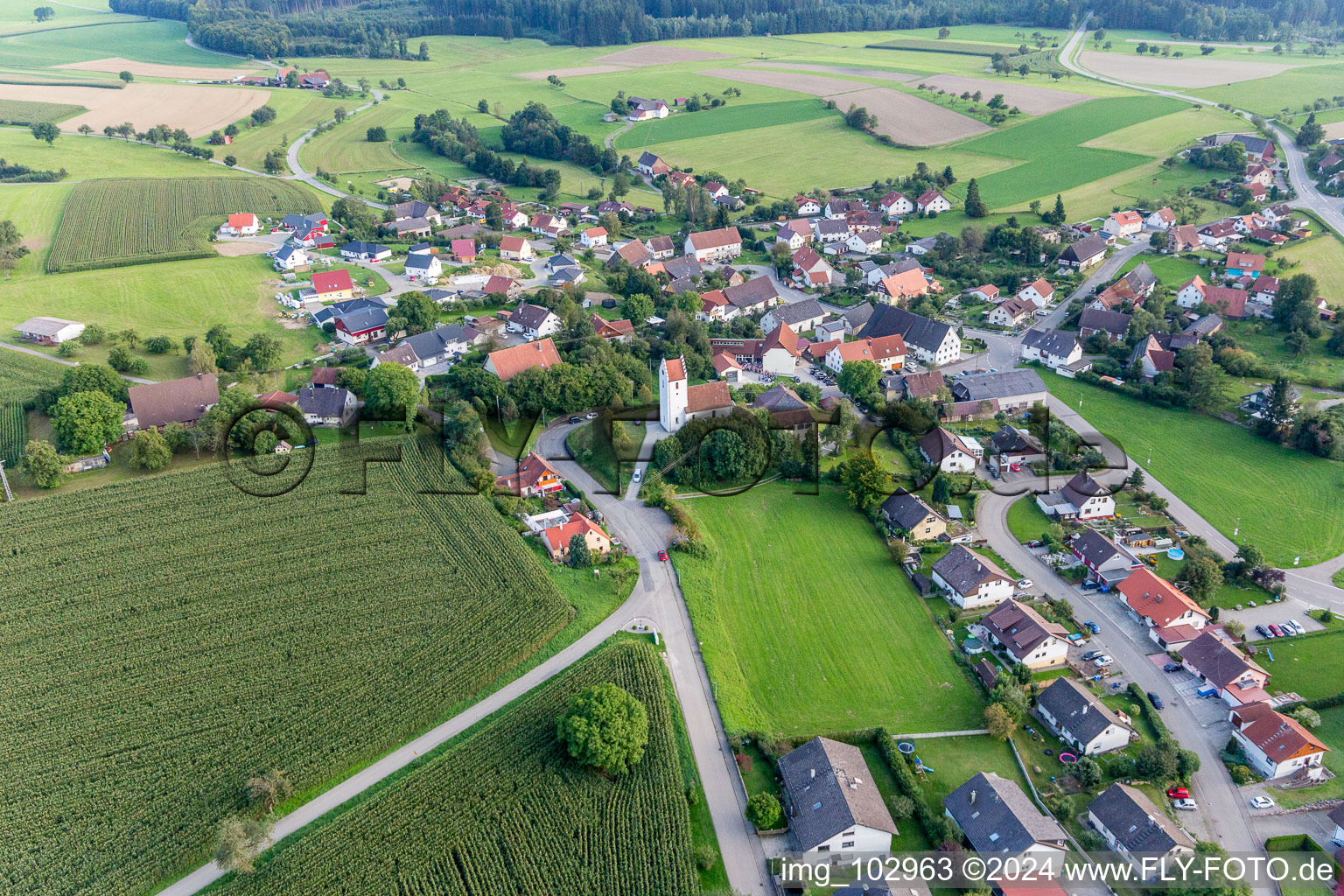 St. Remigus from the north in the district Sentenhart in Wald in the state Baden-Wuerttemberg, Germany