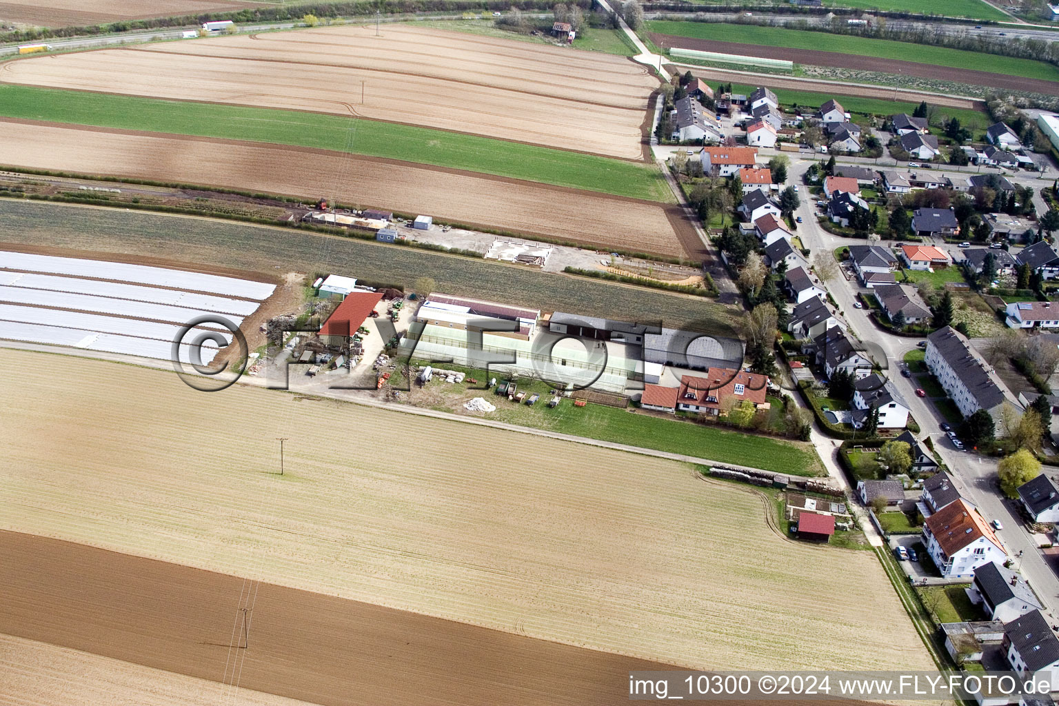 Kandel in the state Rhineland-Palatinate, Germany from above