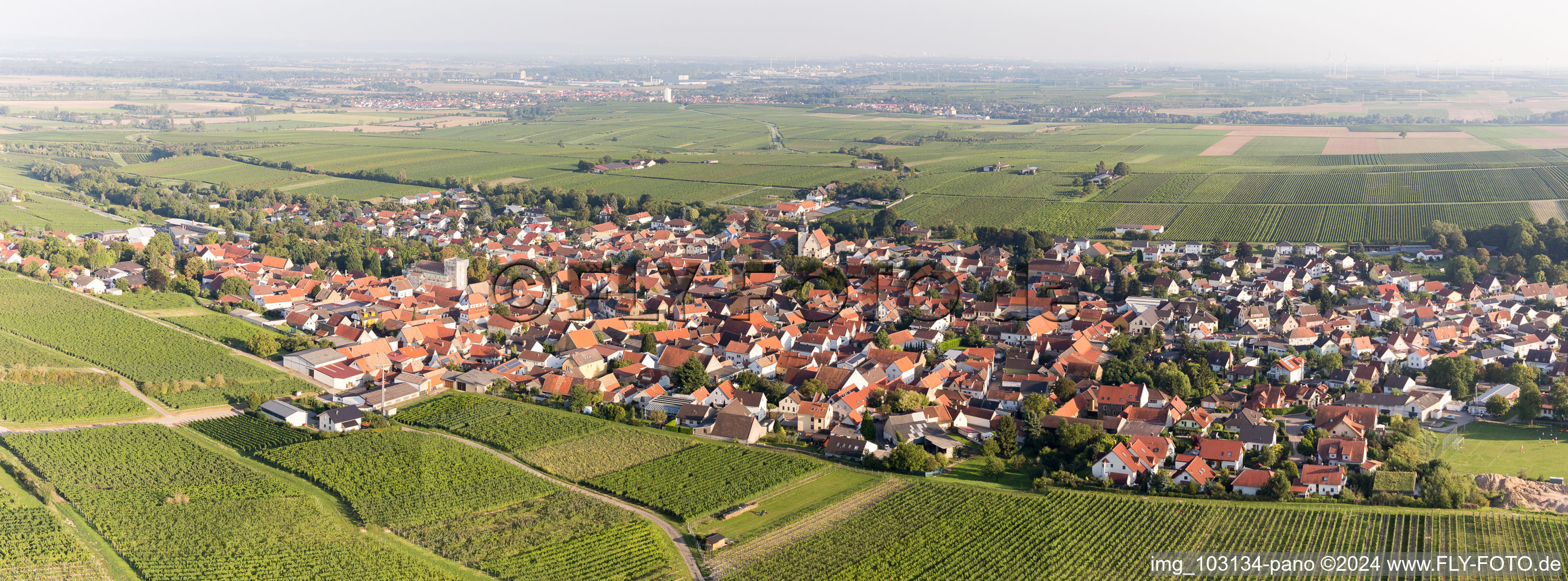 Oblique view of Bechtheim in the state Rhineland-Palatinate, Germany