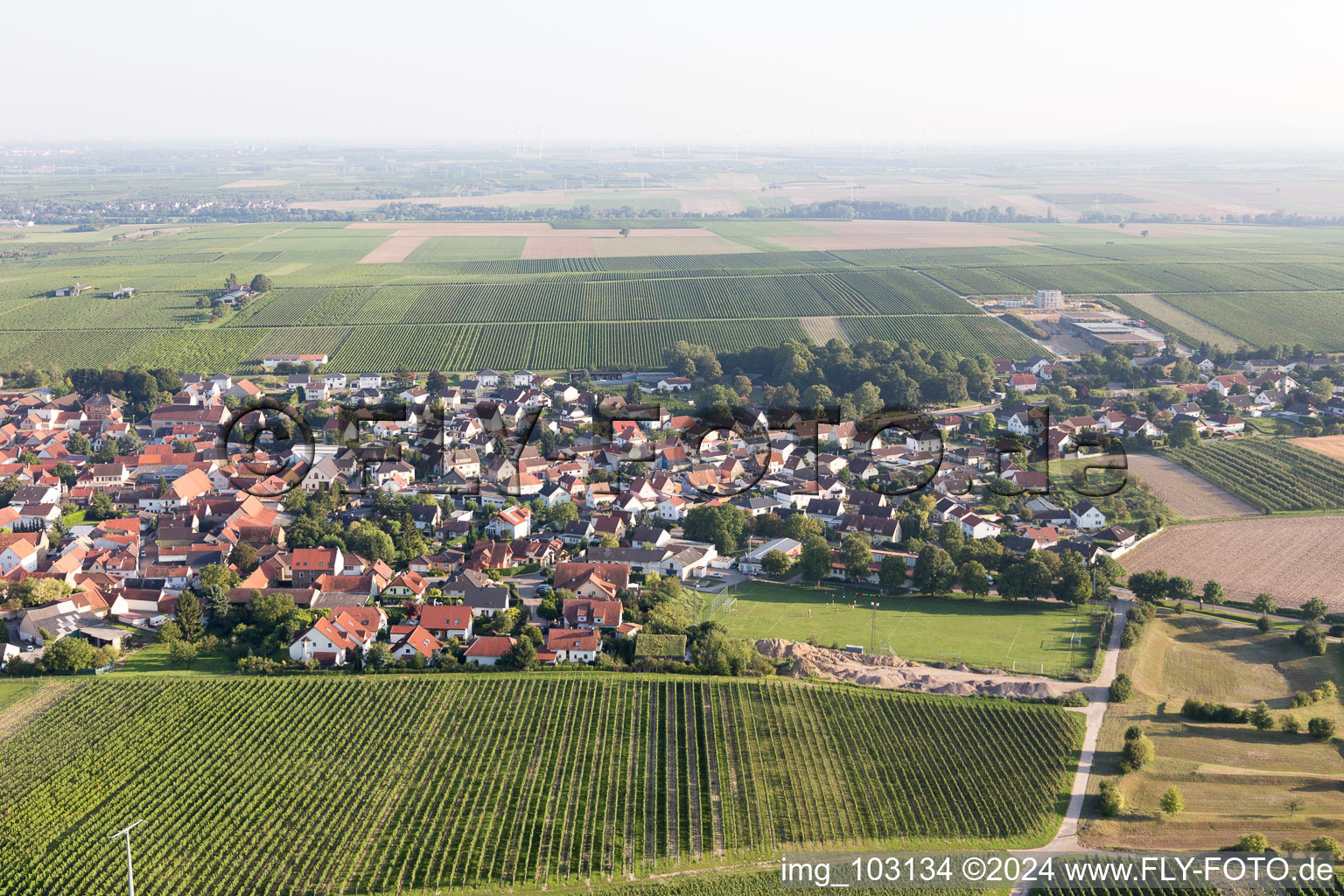 Bechtheim in the state Rhineland-Palatinate, Germany from above