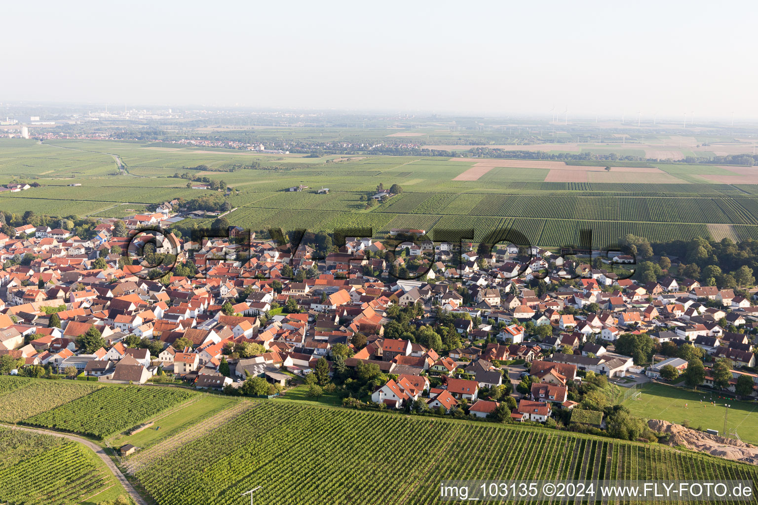 Bechtheim in the state Rhineland-Palatinate, Germany out of the air