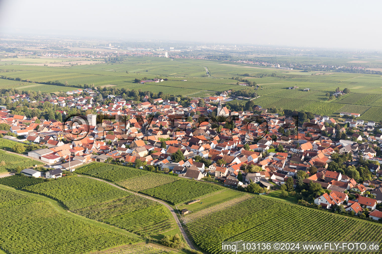 Bechtheim in the state Rhineland-Palatinate, Germany seen from above