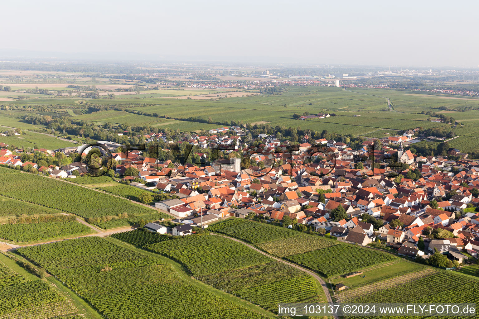 Bechtheim in the state Rhineland-Palatinate, Germany from the plane