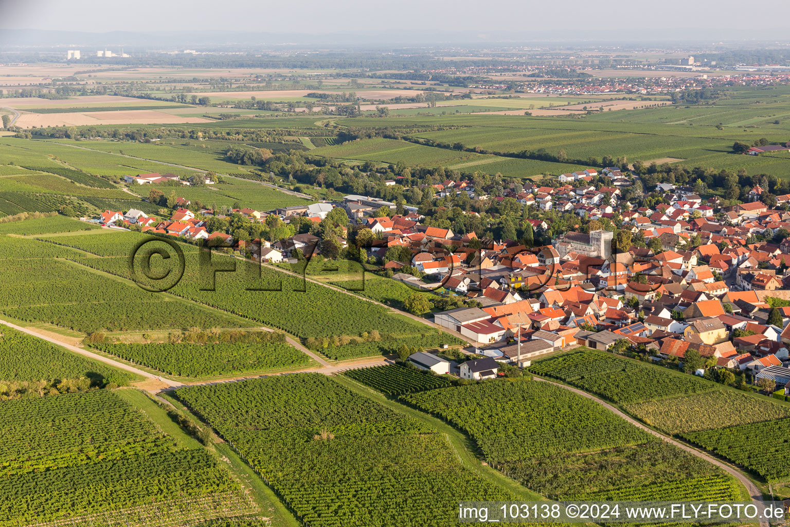 Bird's eye view of Bechtheim in the state Rhineland-Palatinate, Germany