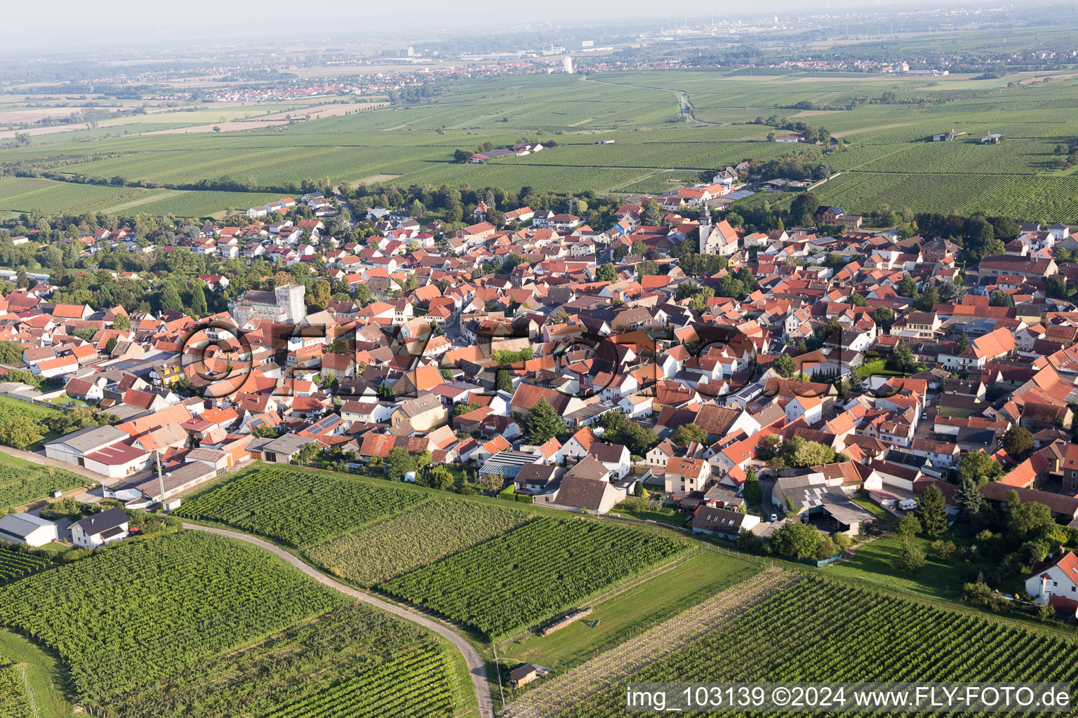 Bechtheim in the state Rhineland-Palatinate, Germany viewn from the air