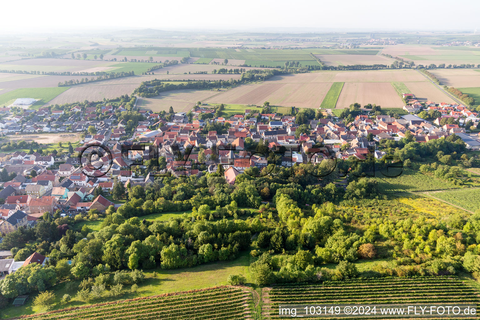 District Heßloch in Dittelsheim-Heßloch in the state Rhineland-Palatinate, Germany seen from above