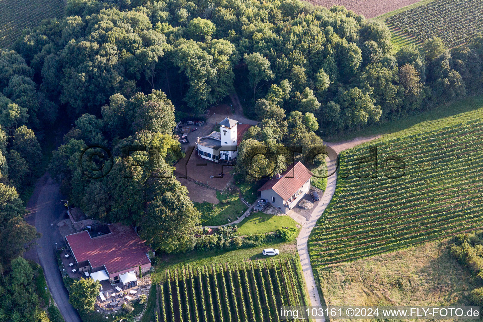 Aerial view of District Dittelsheim in Dittelsheim-Heßloch in the state Rhineland-Palatinate, Germany