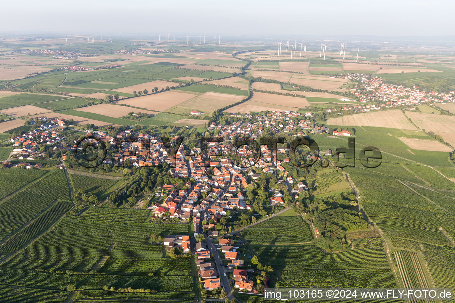 District Dittelsheim in Dittelsheim-Heßloch in the state Rhineland-Palatinate, Germany from above