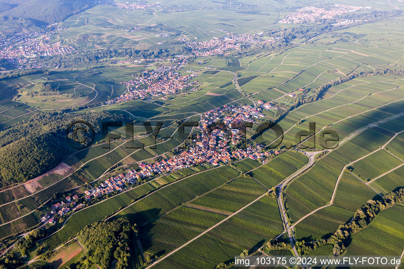 Village - view between wine yards in Ranschbach in the state Rhineland-Palatinate, Germany