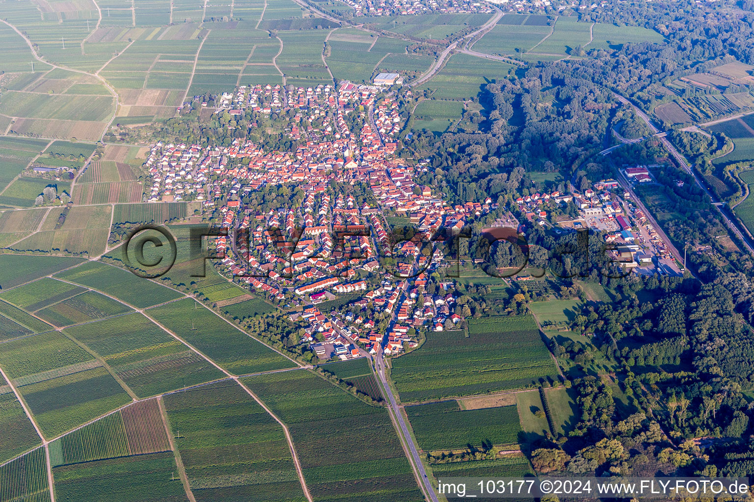 Town View of the streets and houses of the residential areas in Siebeldingen in the state Rhineland-Palatinate, Germany