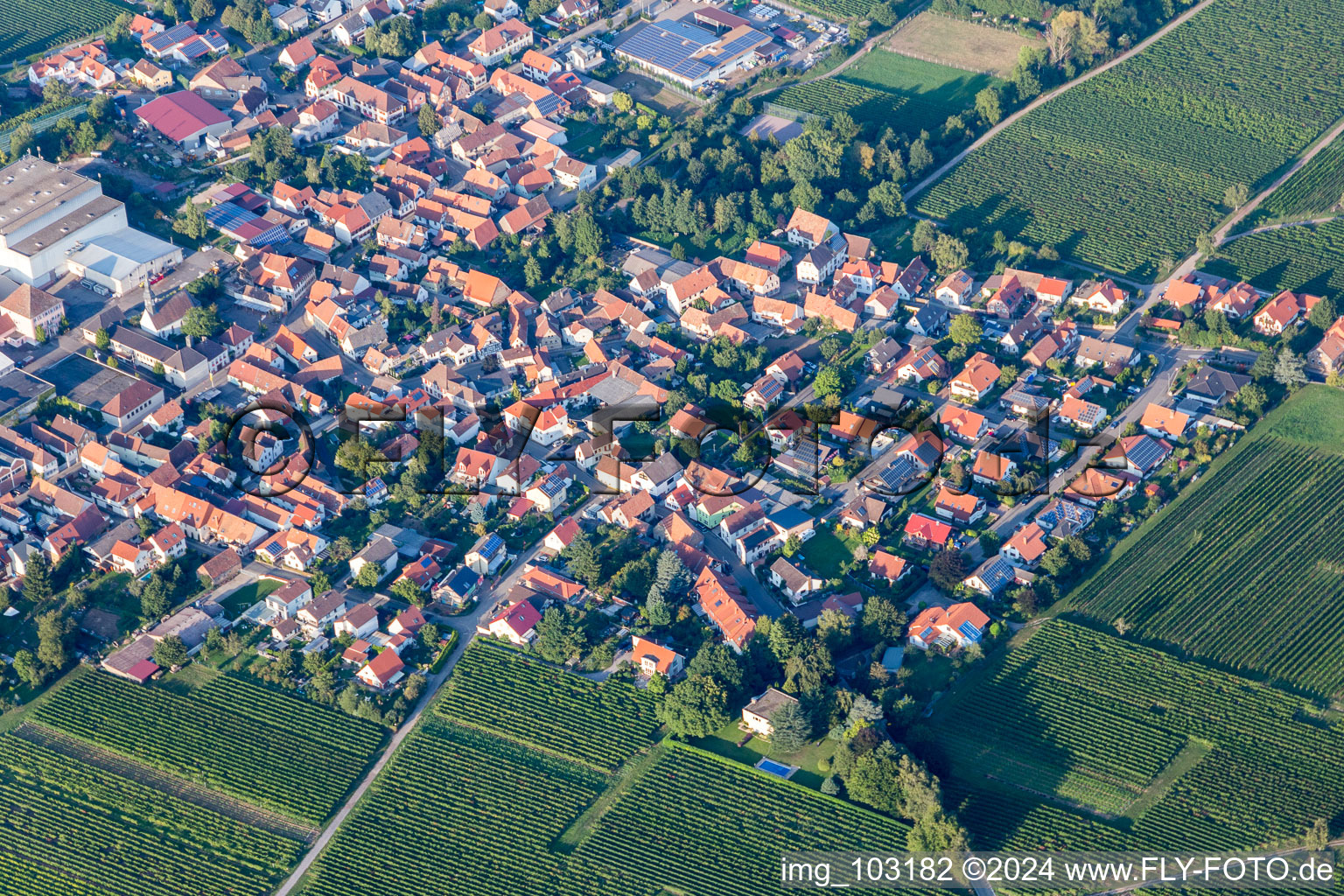 Böchingen in the state Rhineland-Palatinate, Germany seen from above