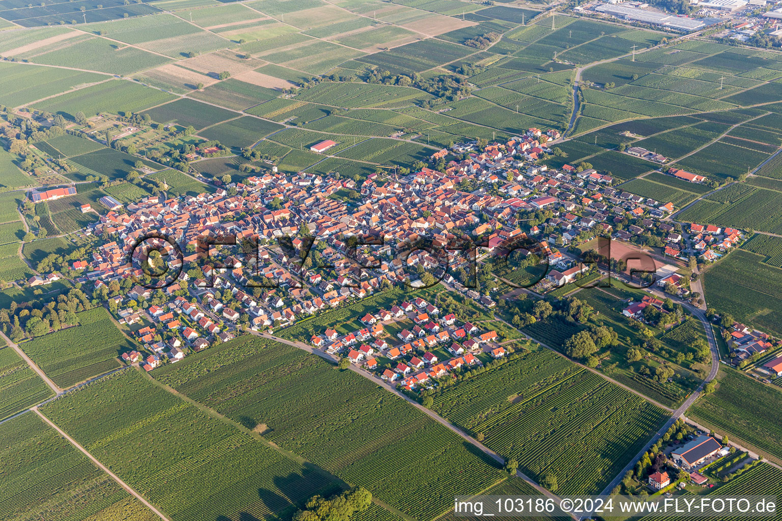 Village view in the district Nussdorf in Landau in der Pfalz in the state Rhineland-Palatinate, Germany