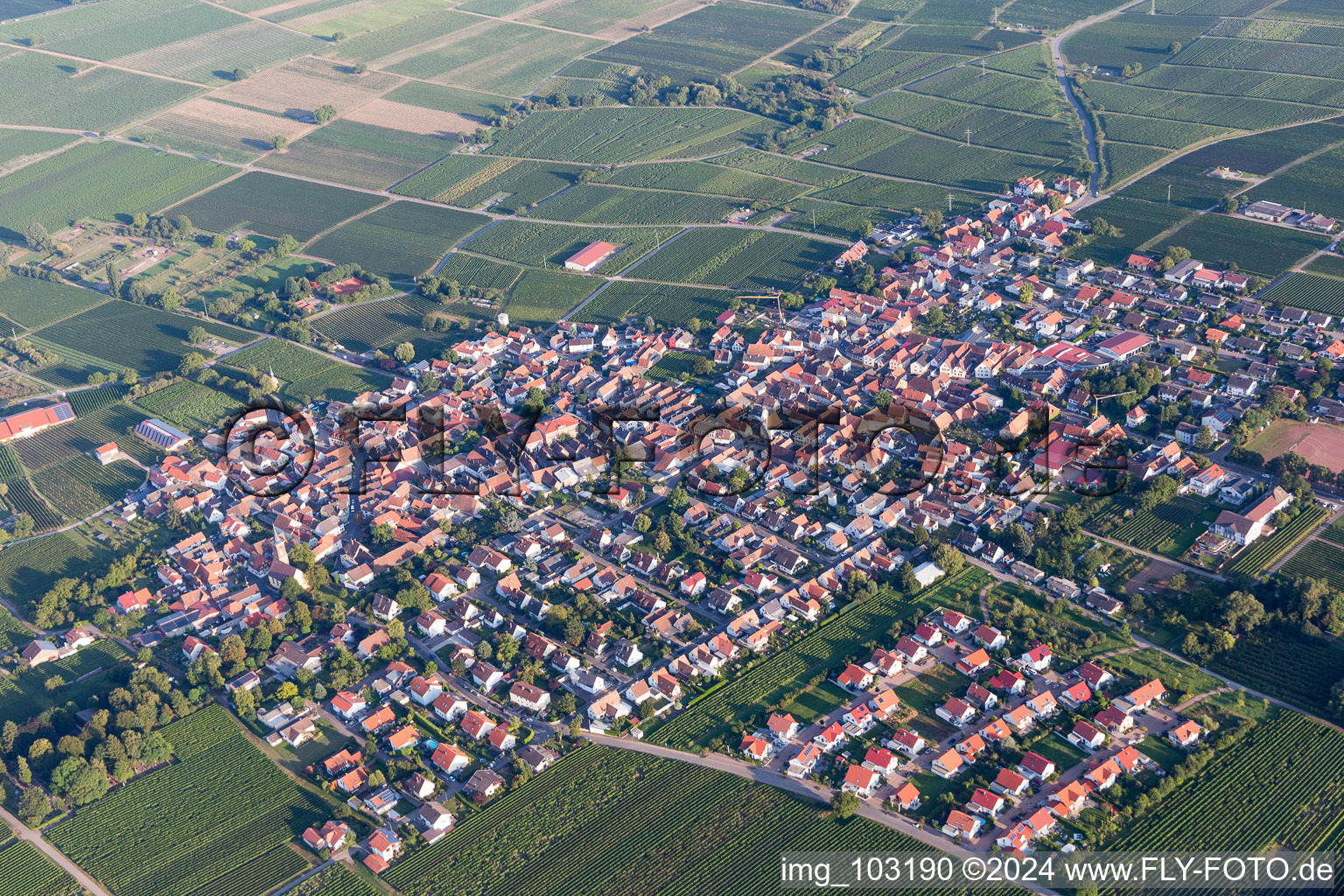 Drone recording of District Nußdorf in Landau in der Pfalz in the state Rhineland-Palatinate, Germany