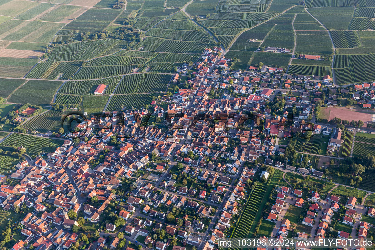 District Nußdorf in Landau in der Pfalz in the state Rhineland-Palatinate, Germany from a drone