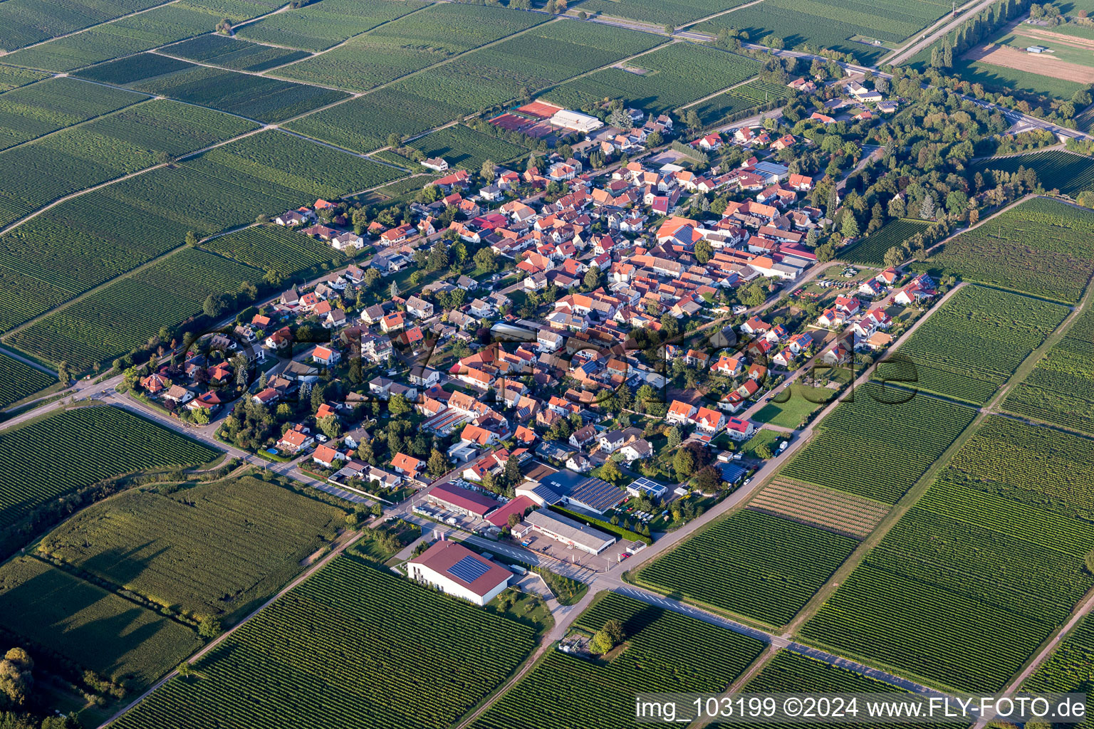 Walsheim in the state Rhineland-Palatinate, Germany from above