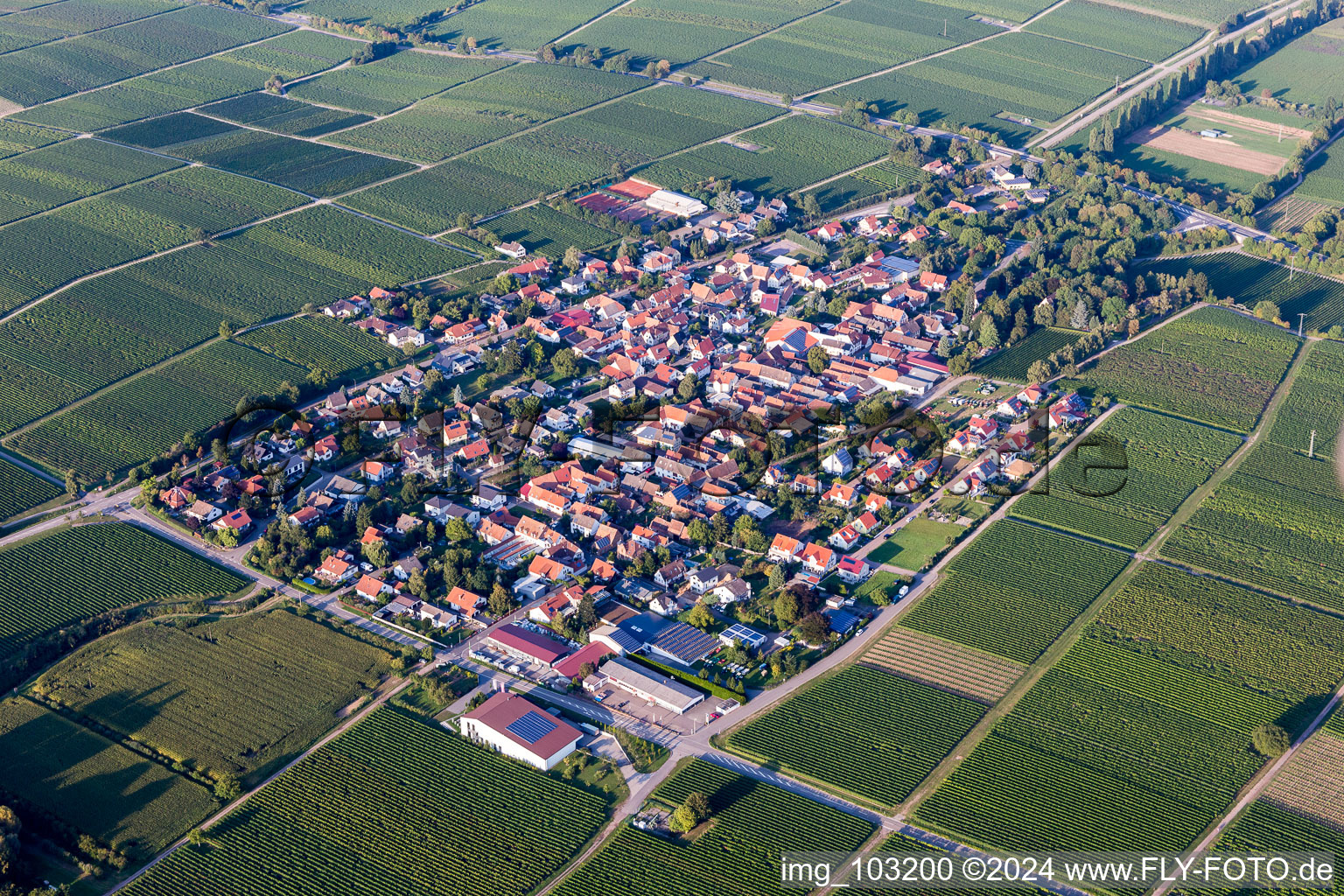 Aerial view of Village - view on the edge of agricultural fields and farmland in Walsheim in the state Rhineland-Palatinate, Germany