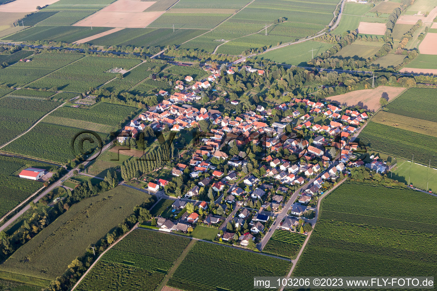Walsheim in the state Rhineland-Palatinate, Germany viewn from the air